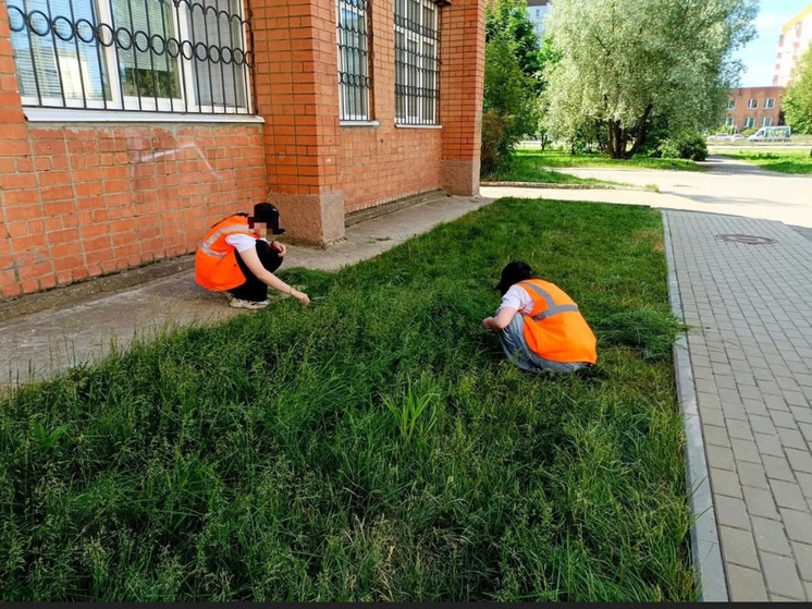В Ярославской области школьников заставили стричь газон ножницами