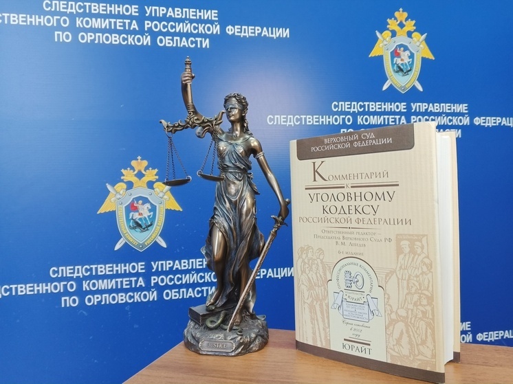 За участие в деятельности террористической организации будут судить подростка из Орловской области