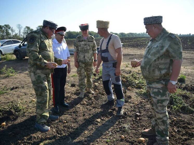 Заместитель Губернатора Краснодарского края Александр Власов осмотрел объекты казачьей экономики в Тимашевском районе