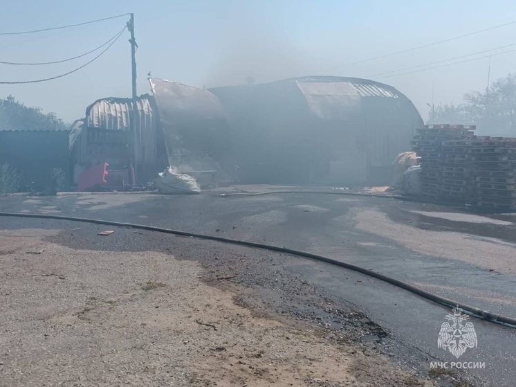 Пожар в маслоцехе в Неклиновском районе потушили