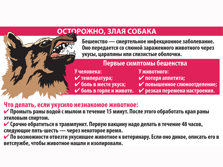 Безопасность