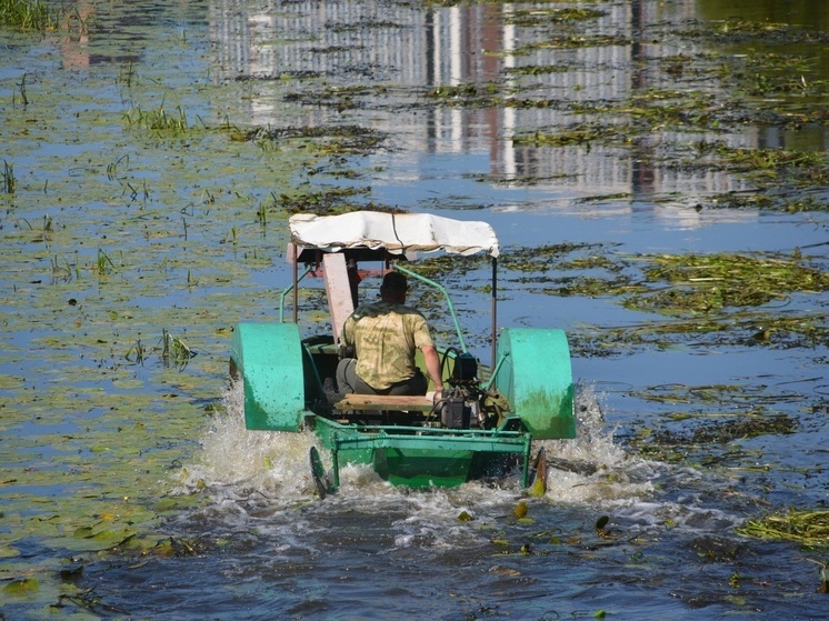  В Иванове в акватории Уводи борются с водной растительностью