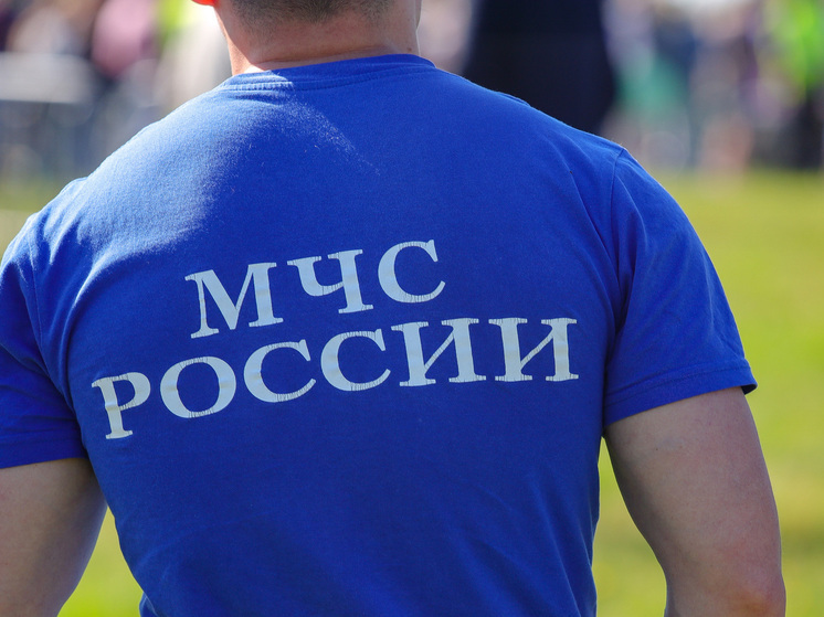 МЧС: ощутимость землетрясения в отдельных районах Петропавловска-Камчатского составила 7-8 баллов