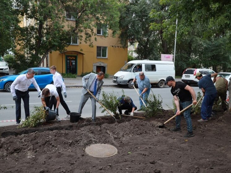 В Новосибирске борются с незаконной парковкой с помощью живой изгороди