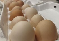 По данным Росстата, в июне цены в Омской области выросли на 0,3 %