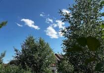 В селе Усятское Бийского района полицейские обнаружили во дворе местного жителя крупную партию наркотиков. 