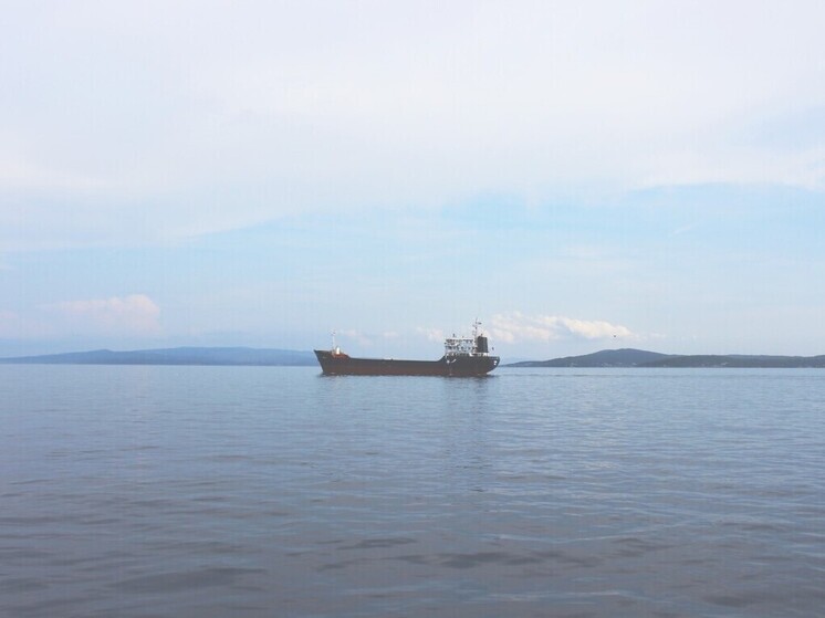 Паром Владивосток — Сокчо возвращается: когда заработает морская линия с Южной Кореей