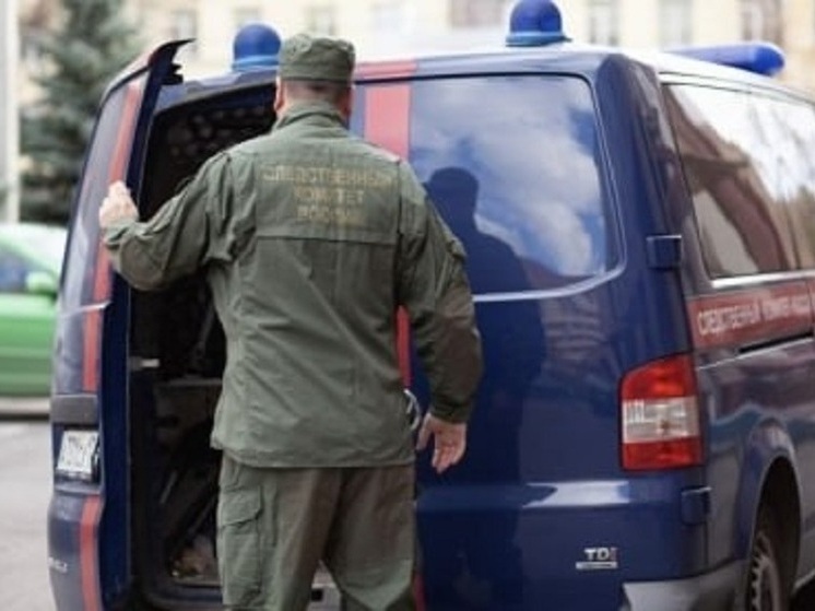 Четверо жителей Васильевского района предстанут перед судом за убийство мужчины