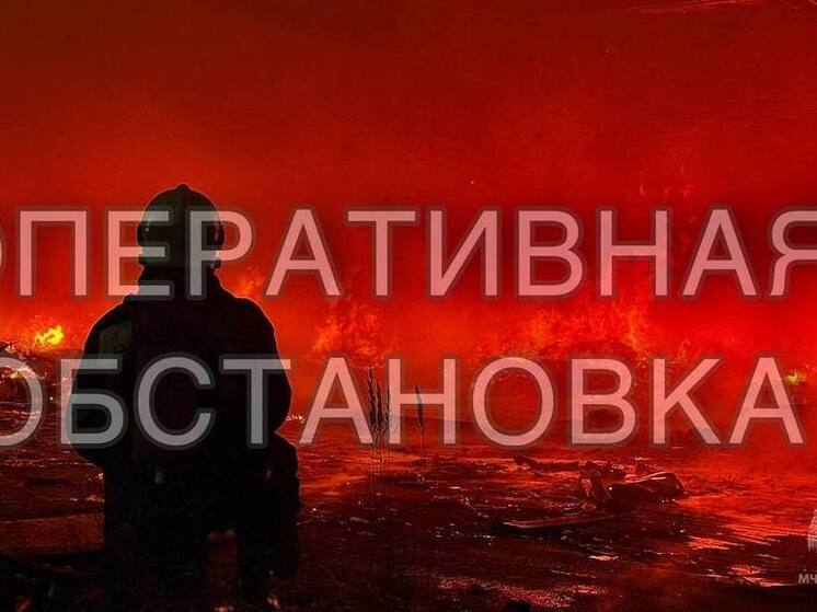 Горел мусор, баня и дома: в МЧС Тверской области рассказали статистику происшествий за день