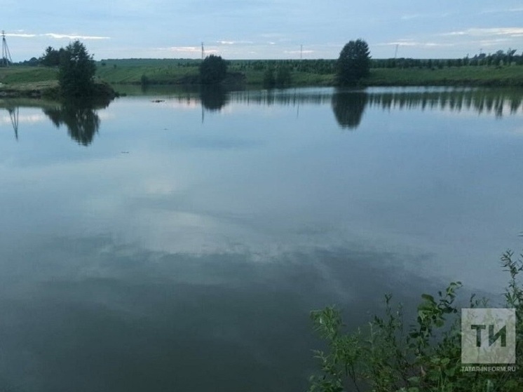 В Буинском районе в пруду обнаружили тело погибшего