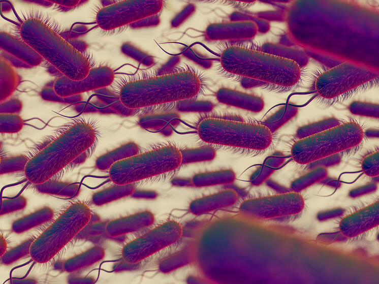 Под землей найден суперорганизм весом в миллиарды тонн