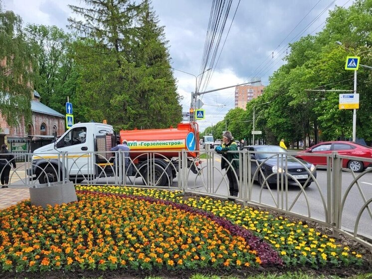 В Ставрополе из-за жары увеличили полив цветников