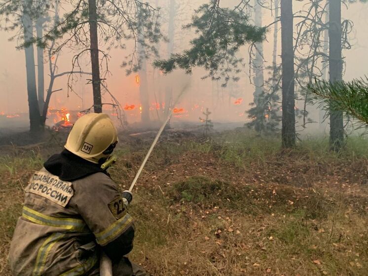 МЧС: высокий класс пожарной опасности ожидается в Рязанской области