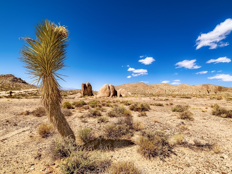 Где на Земле не было дождя 2 миллиона лет: феномен пустыни Атакама