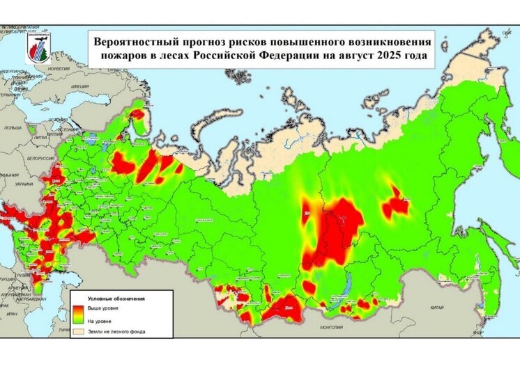 Саратов вошел в список опасных регионов в плане лесных пожаров