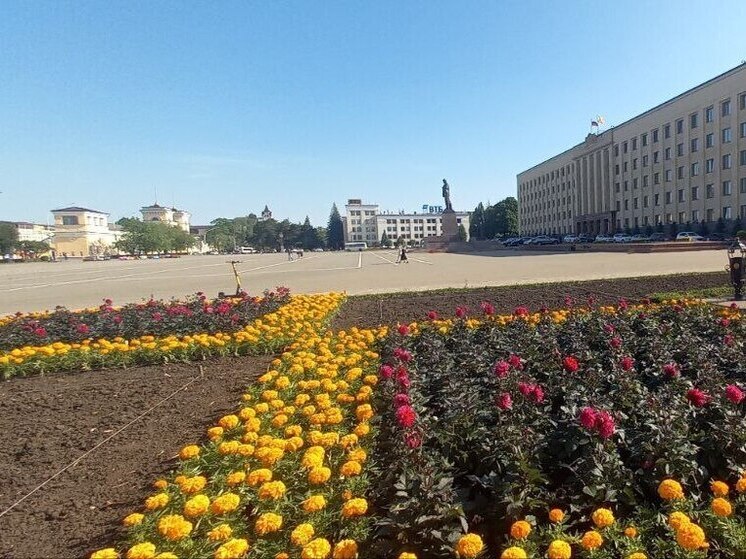 На Ставрополье зарегистрировано 1124 кандидата в депутаты представительных органов муниципальных образований региона