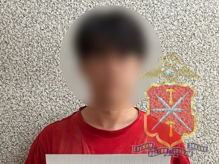 Полиция задержала подозреваемого в краже на улице Комсомольской в Туле