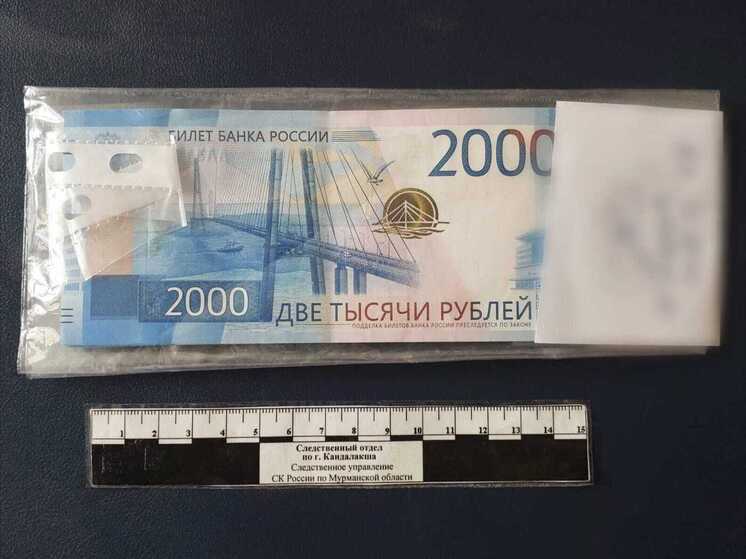 Студенты-практиканты стали источником дохода для руководителя в Кандалакше