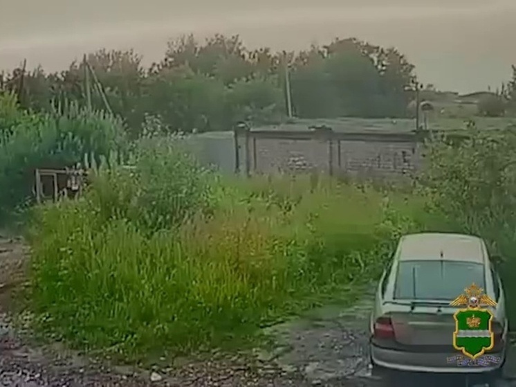 Пьяный угонщик сбил пешехода в Калужской области