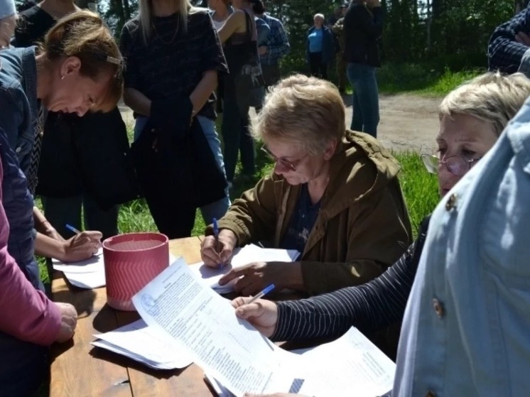 Недалеко до нервного срыва: в садоводстве «Химик» под Барнаулом продолжаются суды