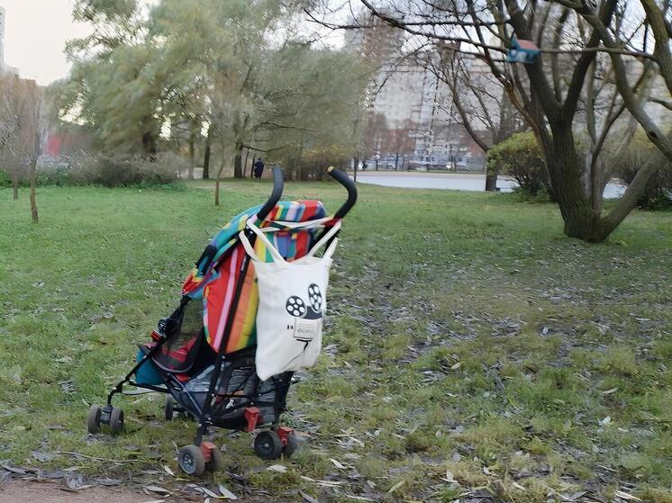 В Киришах пьяная мать оставила двухлетнюю дочку в коляске на улице