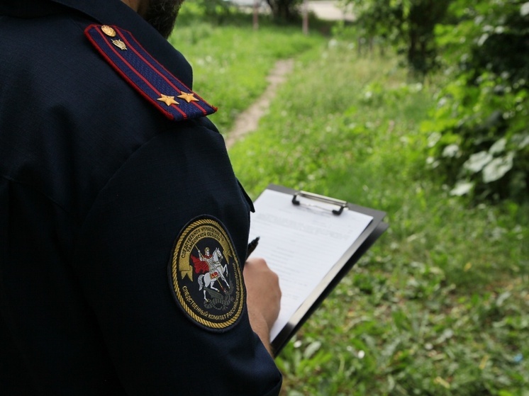 Жительницу Мичуринского округа подозревают в покушении на убийство