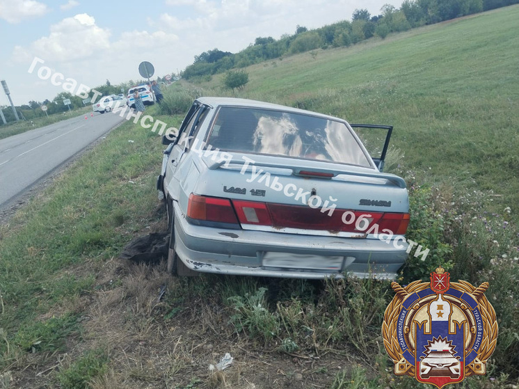 Под Тулой водитель ВАЗа задавил женщину, вышедшую на дорогу после ДТП