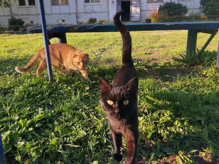 Август начнется с жары и грозовых сюрпризов: синоптики рассказали о погоде в Приморье