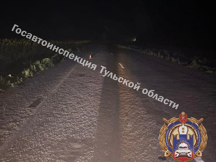 Юный туляк на мопеде наехал на собаку и вместе с пассажиркой попал в больницу
