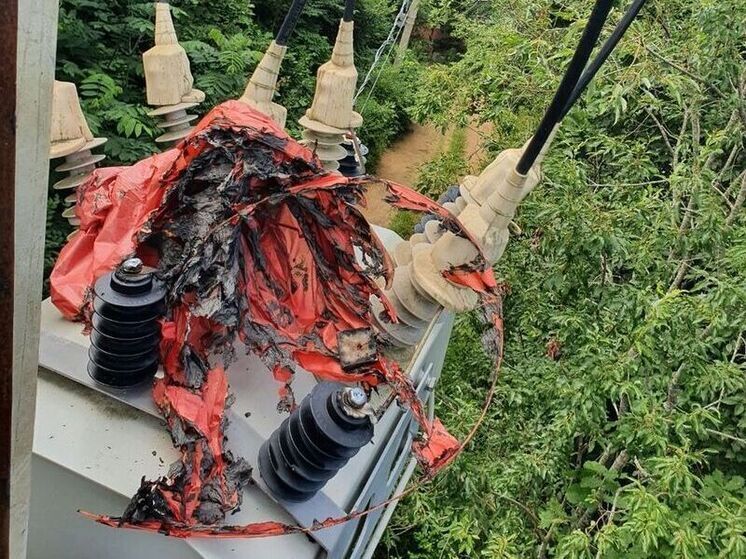 Обнародована причина аварийного отключения света в Хасанском округе Приморья