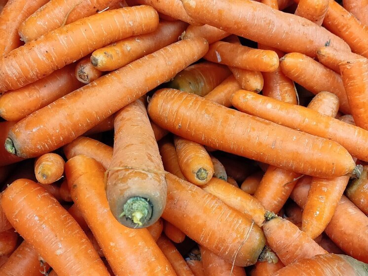 Около 400 тысяч тонн продуктов из Белоруссии направят на столы петербуржцев