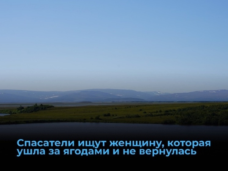 В Приуралье 3 дня ищут потерявшуюся на сборе ягод женщину