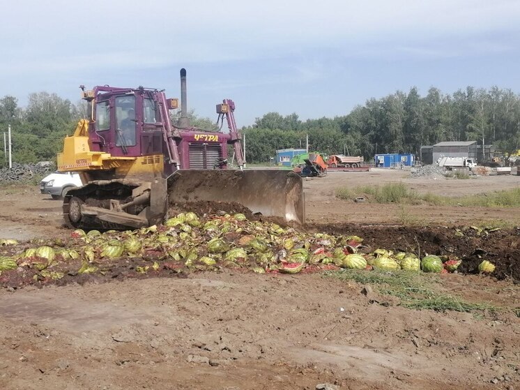 В Новосибирске уничтожили почти 20 тонн небезопасных арбузов