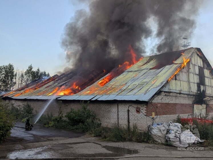В Кирово-Чепецке задержана подозреваемая в поджоге предприятия