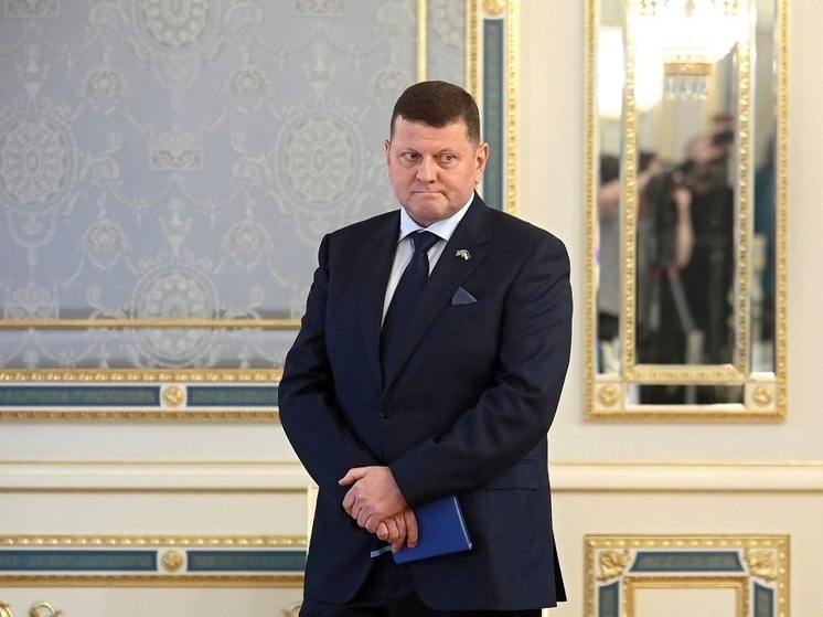 Политолог Живов: Залужный преследовал цель сеять страх по всей России