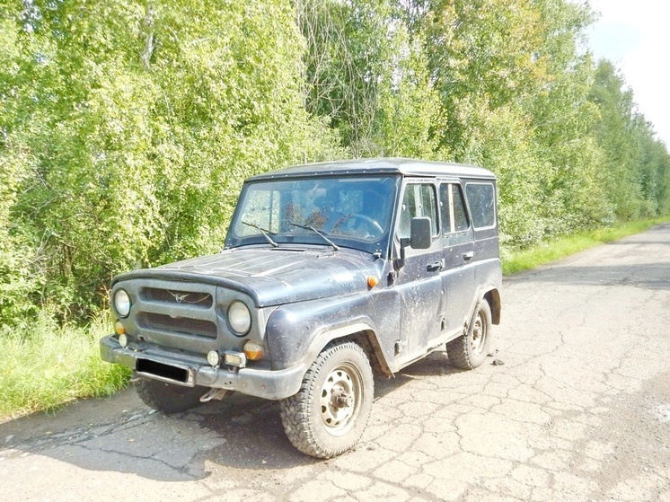 В Омской области угонщик уснул в заглохшей машине