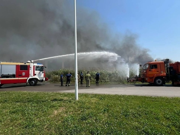 В Ростове потушили крупный ландшафтный пожар на Левом берегу