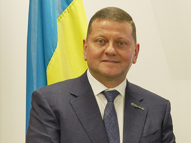 «Выборы» нового президента Украины, по данным нашей Службы внешней разведки (СВР), недавно состоялись в Альпах