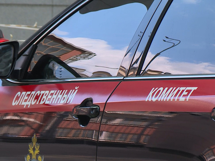 В Новосибирской области проверят дело о ДТП со смертельным исходом