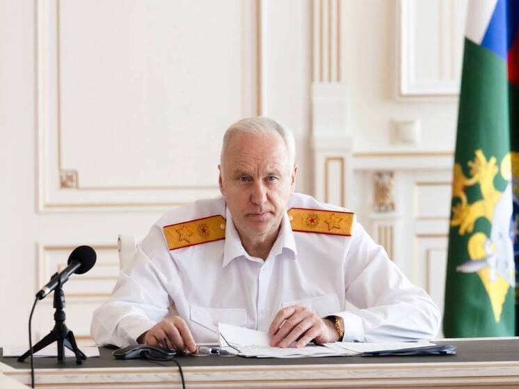 Бастрыкин поручил провести проверку состояния дорог в Чите
