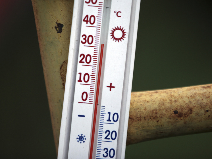 Метеоролог Макарова: начало августа в Москве будет таким же жарким