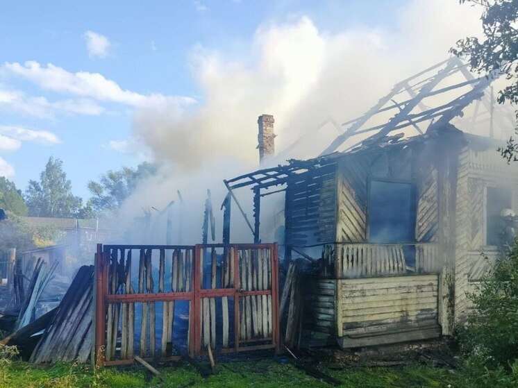 В Старой Руссе на пожаре в частном доме погиб человек
