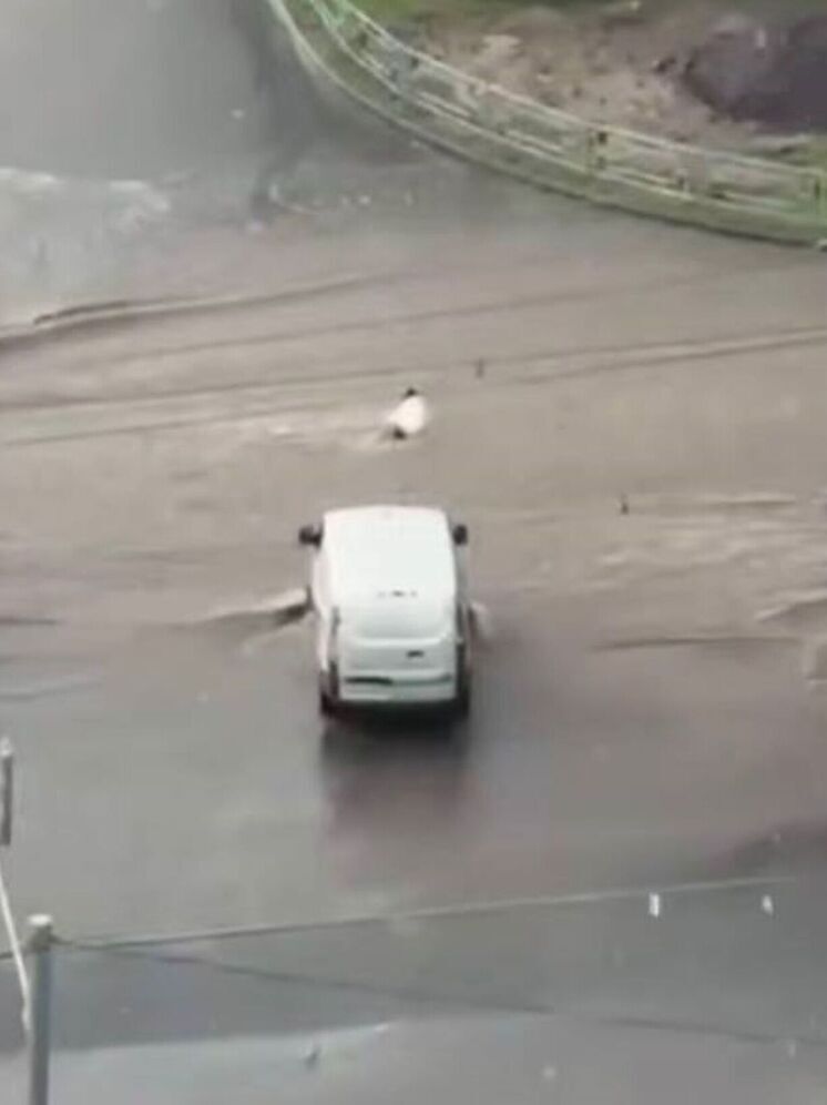 В Барнауле девушку смыло с улицы мощным потоком воды после ливня
