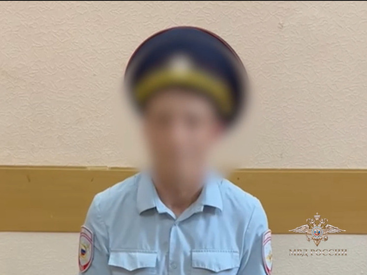 В Киреевском районе задержали ряженого под “полицейского”