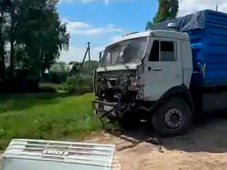 Под Тамбовом КАМАЗ вылетел в кювет из-за отказала тормозов