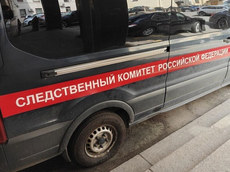 Петербурженка заколола свою соседку и попыталась сбежать, выпрыгнув из окна