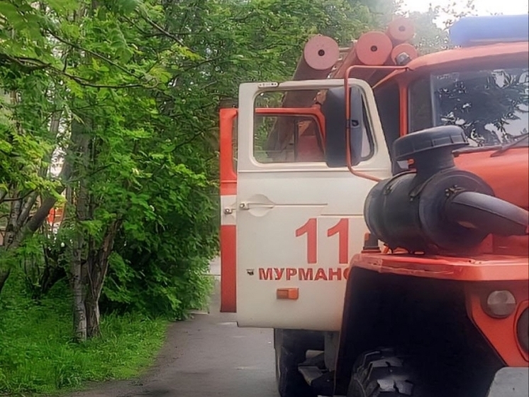 Неосторожность на кухне привела к вызову пожарных в Мурманске