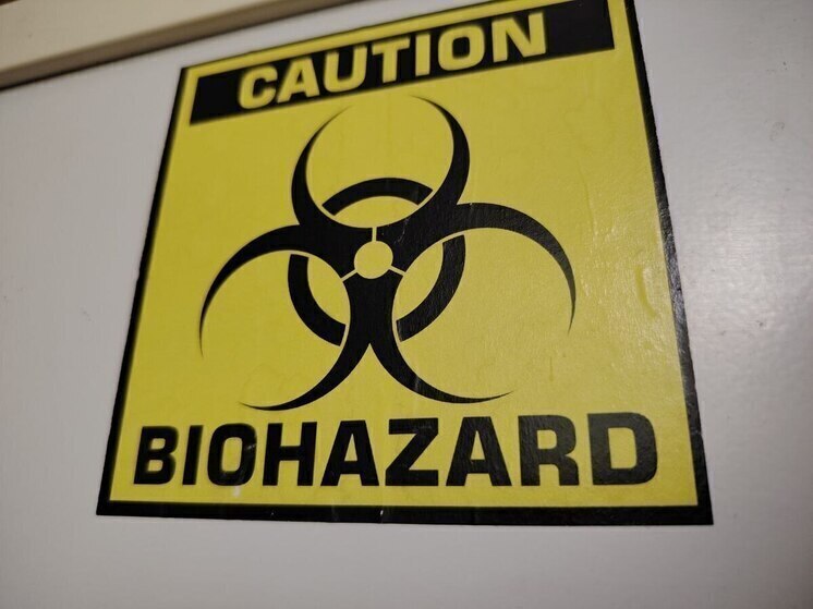 Учёные обнаружили странный вирус, поражающий морской планктон