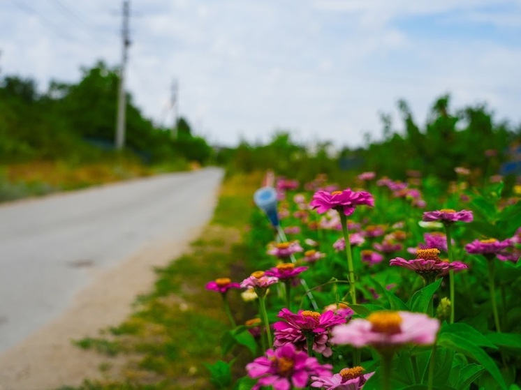 В Астраханской области в последний день июля будет солнечно и до +37°C
