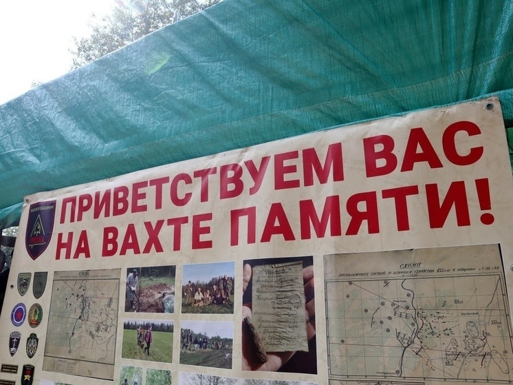 В Тверской области 76 экспедиций раскапывают места боев Великой Отечественной войны